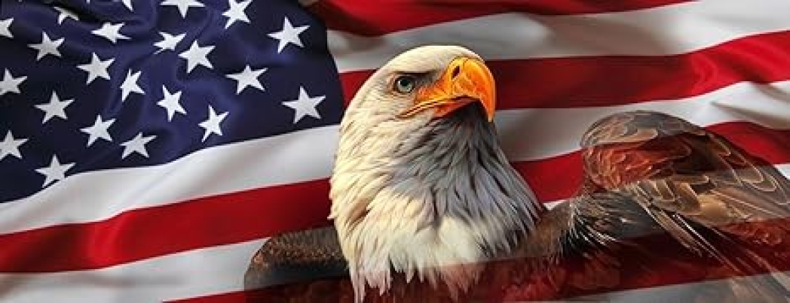 American Government