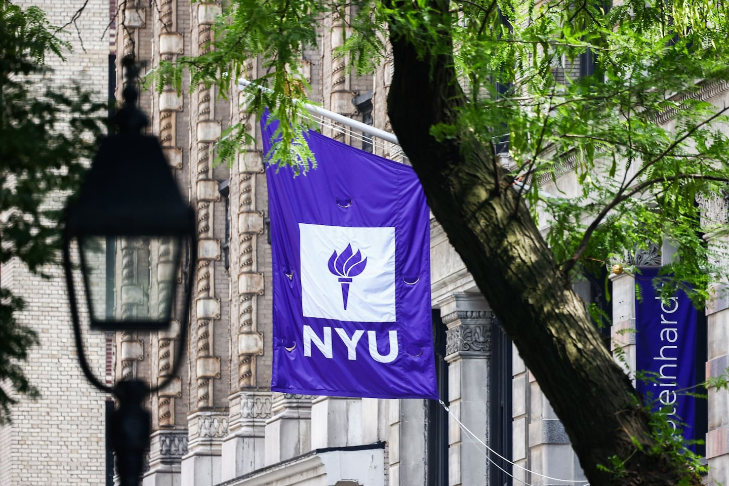 About one-third of New York Universit