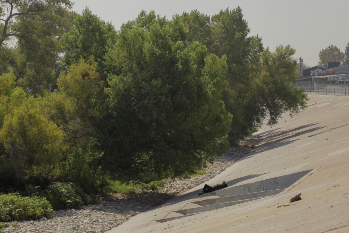 A person lies under the shade of large trees that grow among rocks and a nearby river.