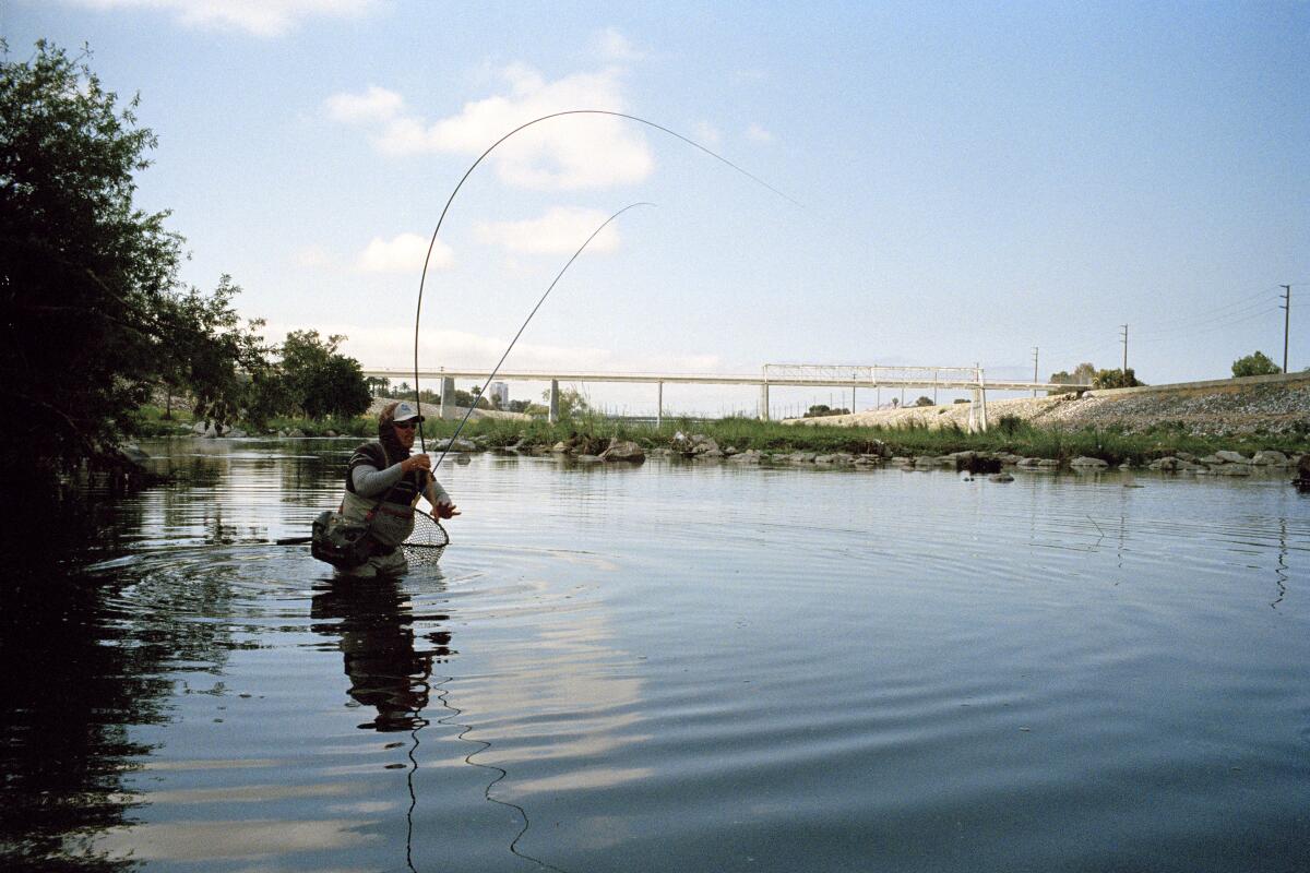 A fisherman standing in water holding a skinny bent rod, its line in the river with a large bridge in the background.