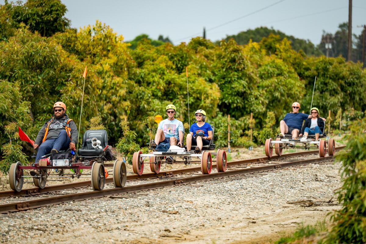 People ride the Sunburst Railbikes by avocado orchards.