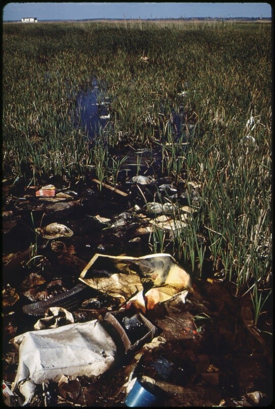 A wetland area with tall grasses is littered with various trash and debris, including plastic bags, bottles, and other waste, floating in the water. A distant building is visible on the horizon under a blue sky.